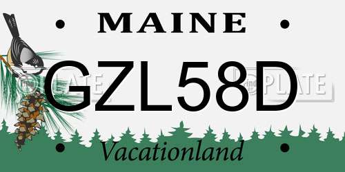 GZL58D Maine License Plate