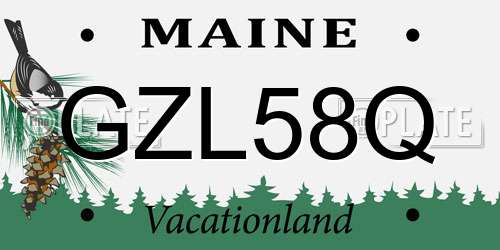 GZL58Q Maine License Plate