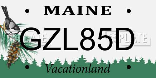 GZL85D Maine License Plate