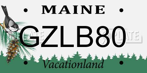 GZLB80 Maine License Plate