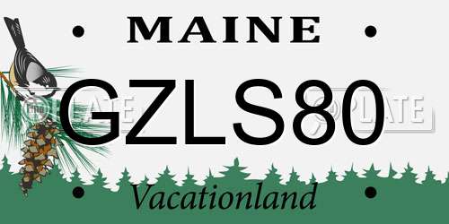 GZLS80 Maine License Plate