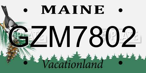 GZM7802 Maine License Plate
