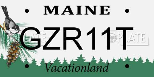 GZR11T Maine License Plate