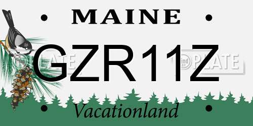 GZR11Z Maine License Plate