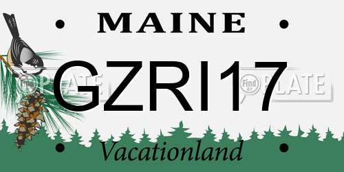 GZRI17 Maine License Plate