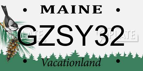 GZSY32 Maine License Plate