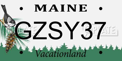 GZSY37 Maine License Plate