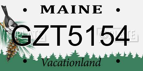 GZT5154 Maine License Plate