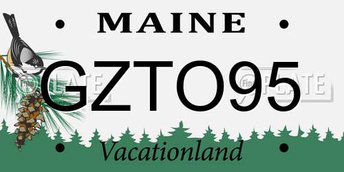 GZTO95 Maine License Plate