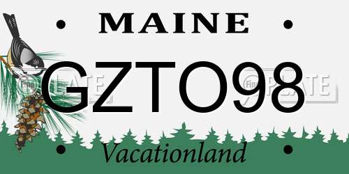 GZTO98 Maine License Plate