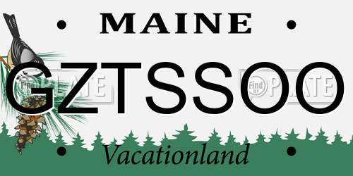 GZTSSOO Maine License Plate