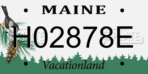 H02878E Maine License Plate
