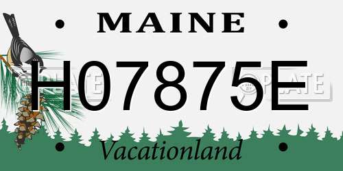 H07875E Maine License Plate