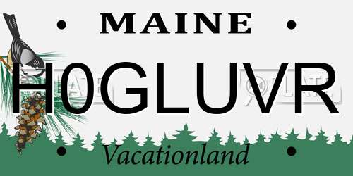 H0GLUVR Maine License Plate