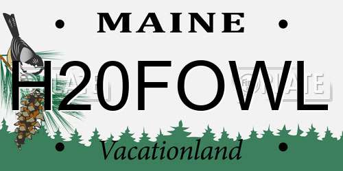 H20FOWL Maine License Plate
