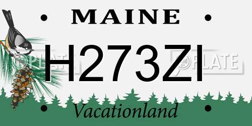 H273ZI Maine License Plate