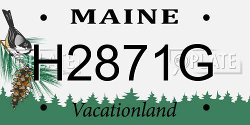 H2871G Maine License Plate
