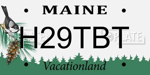 H29TBT Maine License Plate