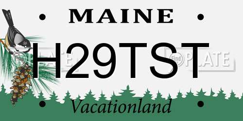 H29TST Maine License Plate