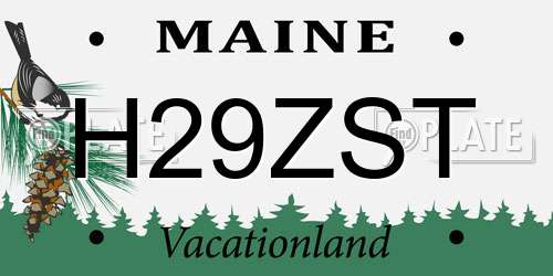 H29ZST Maine License Plate
