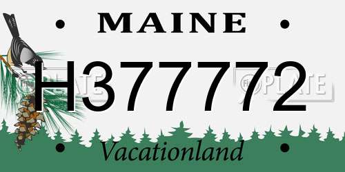 H377772 Maine License Plate