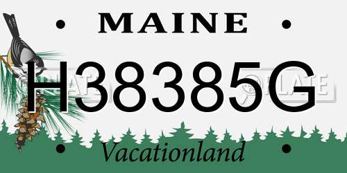 H38385G Maine License Plate