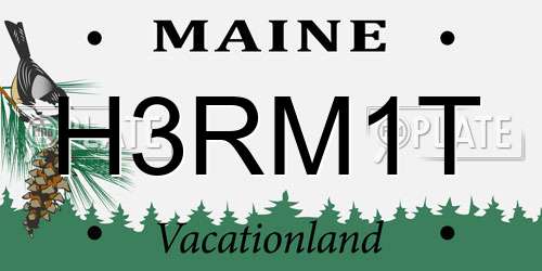 H3RM1T Maine License Plate