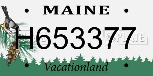 H653377 Maine License Plate