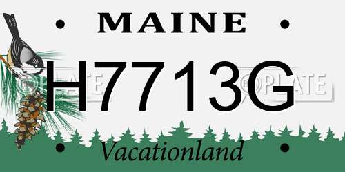H7713G Maine License Plate