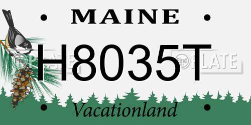 H8035T Maine License Plate