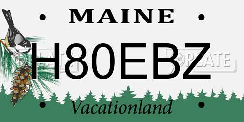 H80EBZ Maine License Plate