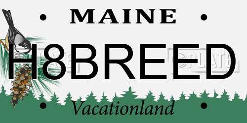 H8BREED Maine License Plate
