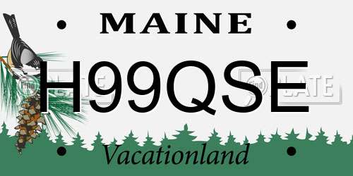 H99QSE Maine License Plate