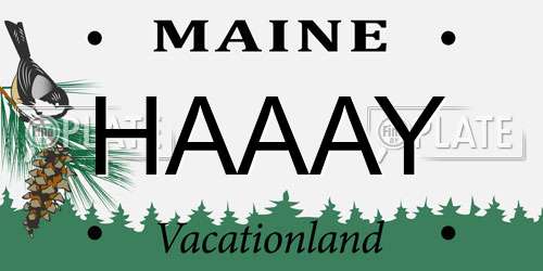HAAAY Maine License Plate