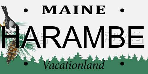 HARAMBE Maine License Plate