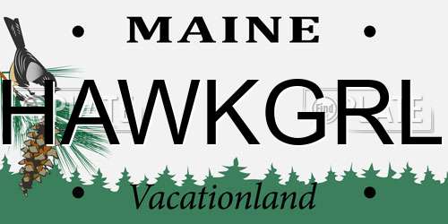 HAWKGRL Maine License Plate