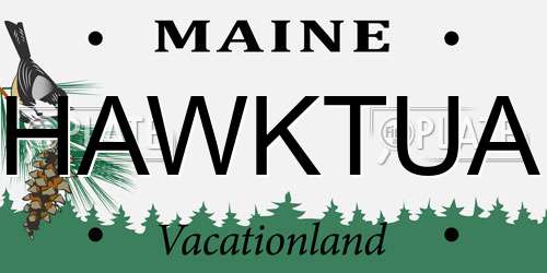 HAWKTUA Maine License Plate