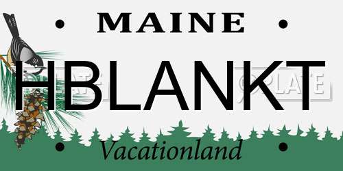 HBLANKT Maine License Plate