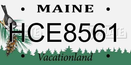 HCE8561 Maine License Plate