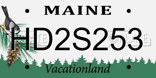 HD2S253 Maine License Plate
