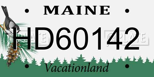 HD60142 Maine License Plate