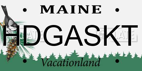 HDGASKT Maine License Plate