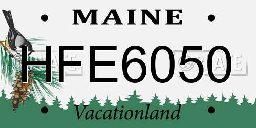 HFE6050 Maine License Plate