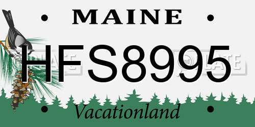 HFS8995 Maine License Plate