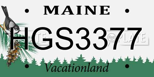 HGS3377 Maine License Plate