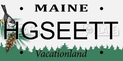 HGSEETT Maine License Plate