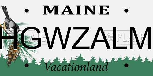 HGWZALM Maine License Plate