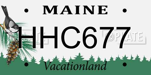 HHC677 Maine License Plate