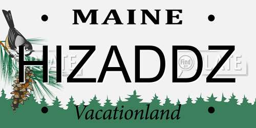 HIZADDZ Maine License Plate