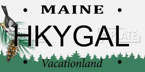 HKYGAL Maine License Plate